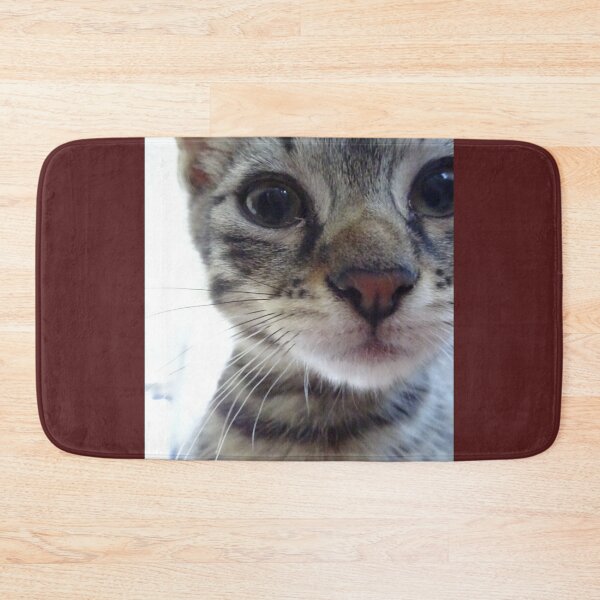 Item preview, The young cat - 1 designed and sold by walterfest.
