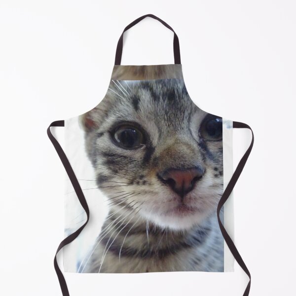 Item preview, The young cat - 1 designed and sold by walterfest.