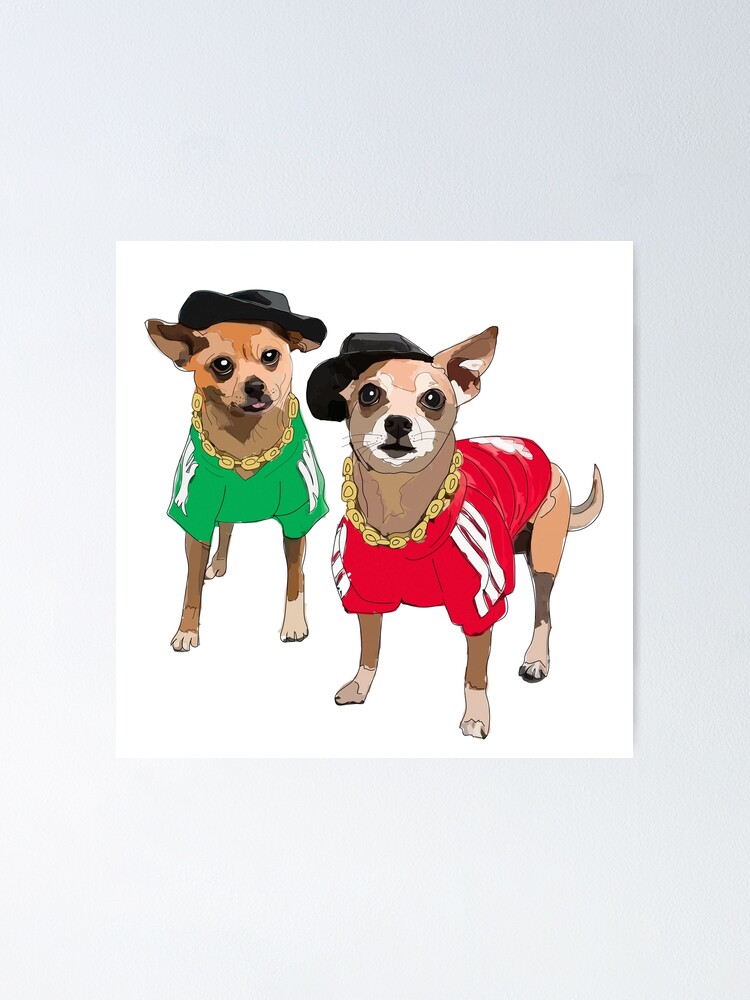 Rap Chihuahua Dogs\