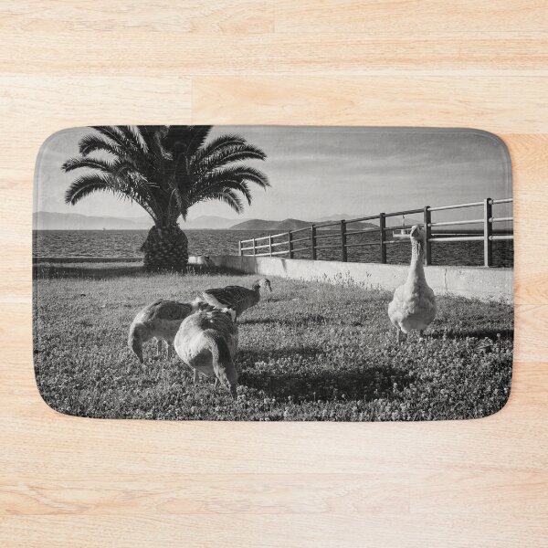 Item preview, Geese and the Cat in the Shadows bw designed and sold by Jouko Lehto Photography.