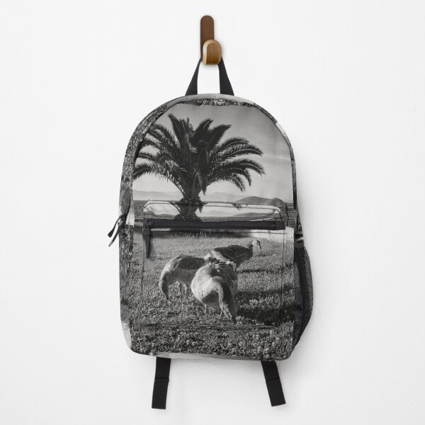 Item preview, Geese and the Cat in the Shadows bw designed and sold by Jouko Lehto Photography.