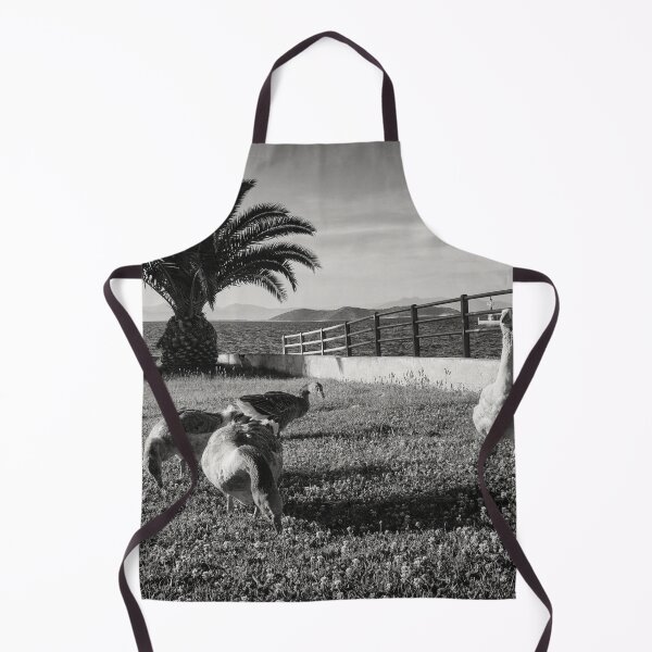Item preview, Geese and the Cat in the Shadows bw designed and sold by Jouko Lehto Photography.