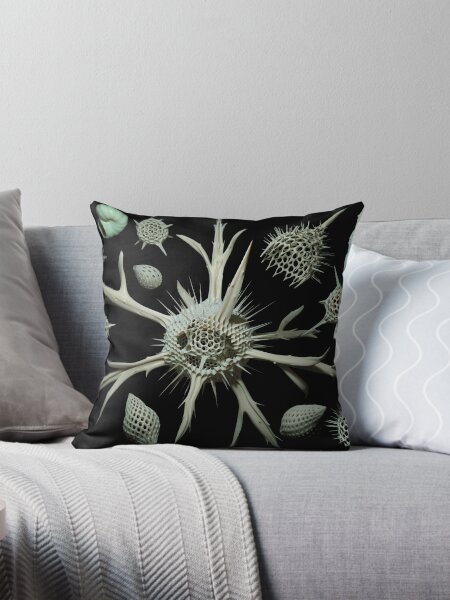 Item preview, Radiolaria et Foraminifera designed and sold by Ldarro.
