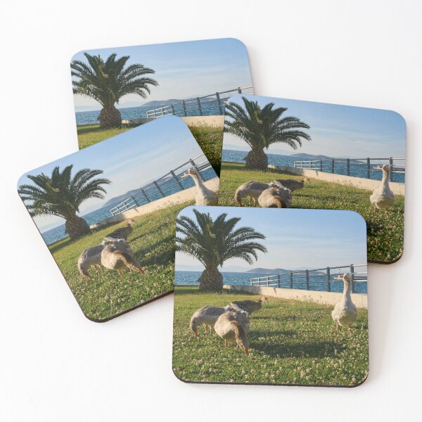 Item preview, Geese and the Cat in the Shadows designed and sold by Jouko Lehto Photography.