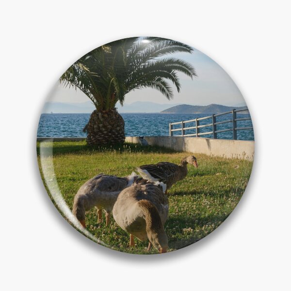 Item preview, Geese and the Cat in the Shadows designed and sold by Jouko Lehto Photography.