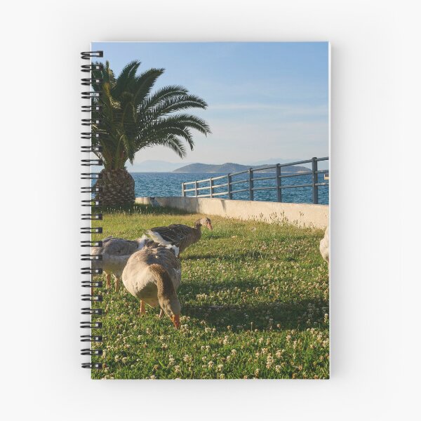 Item preview, Geese and the Cat in the Shadows designed and sold by Jouko Lehto Photography.