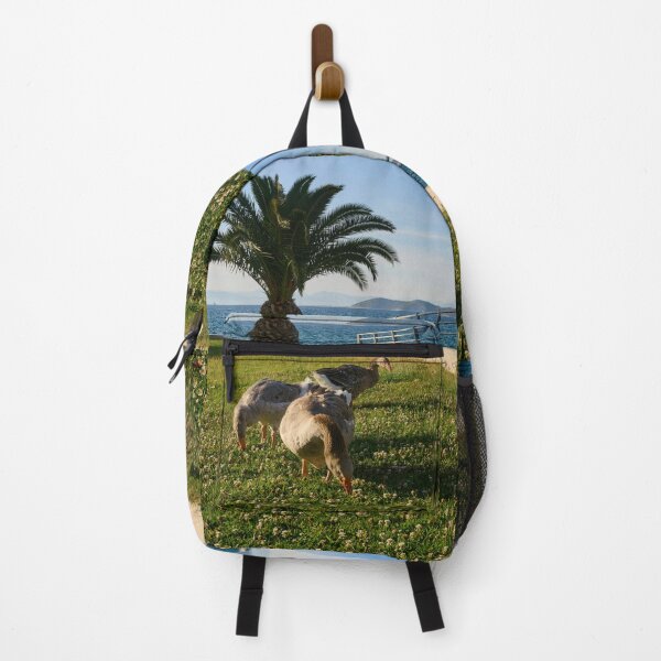 Item preview, Geese and the Cat in the Shadows designed and sold by Jouko Lehto Photography.