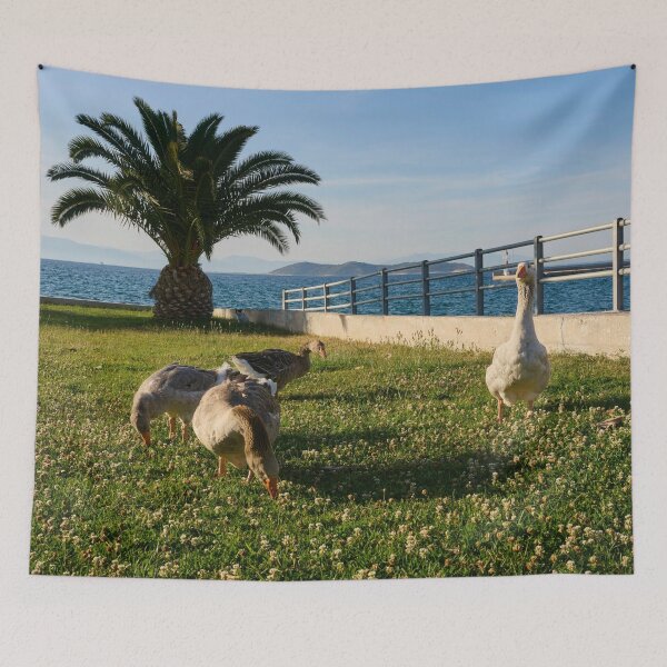 Item preview, Geese and the Cat in the Shadows designed and sold by Jouko Lehto Photography.