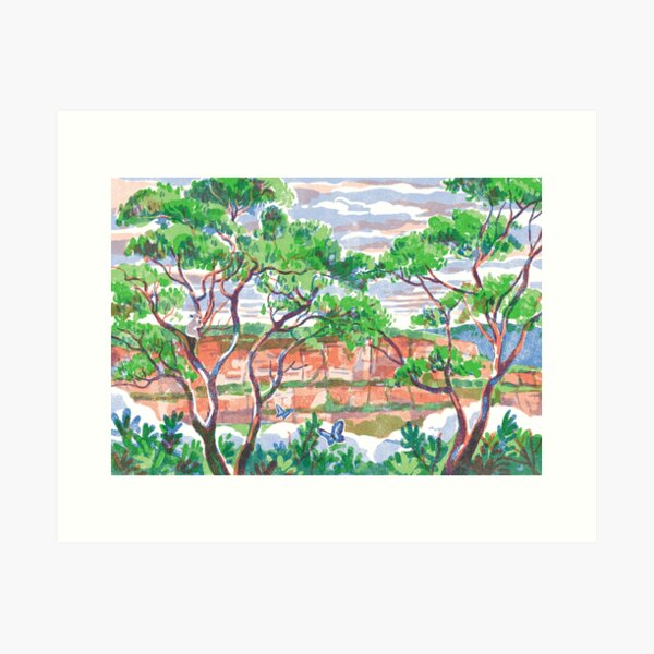 Eucalyptus in Australia Art Print