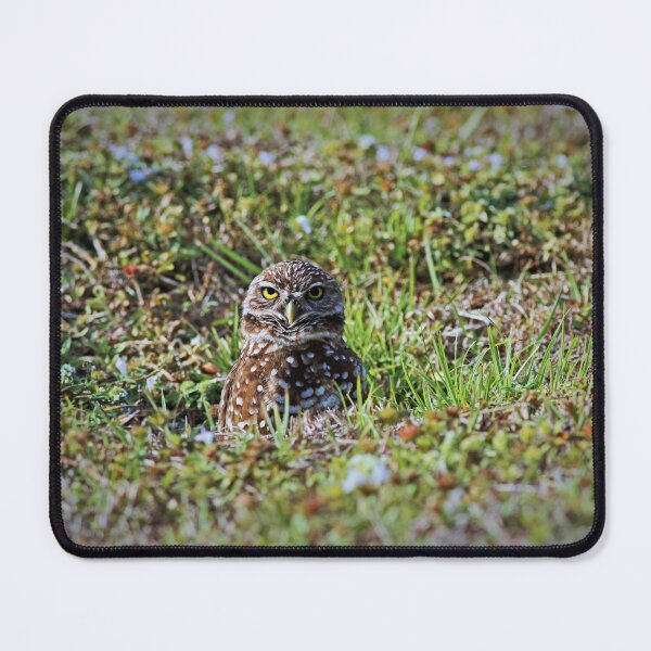 Item preview, One Thing For Sure designed and sold by Michiale.