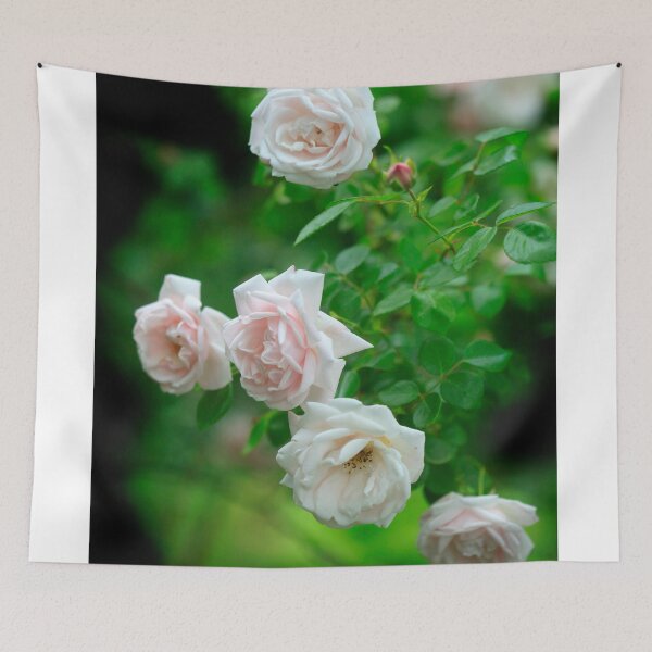 Item preview, Pink roses on nature background designed and sold by olena2552.