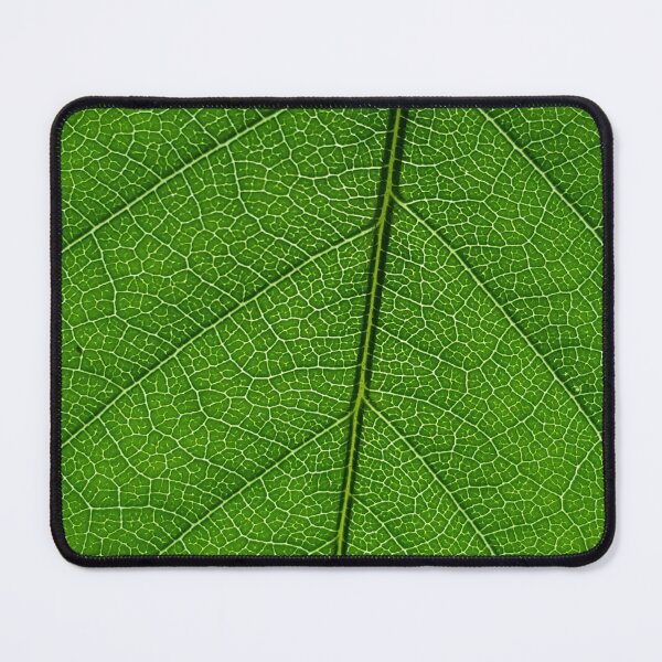 Item preview, Close Up of a Leaf designed and sold by Philip-F-Webb.