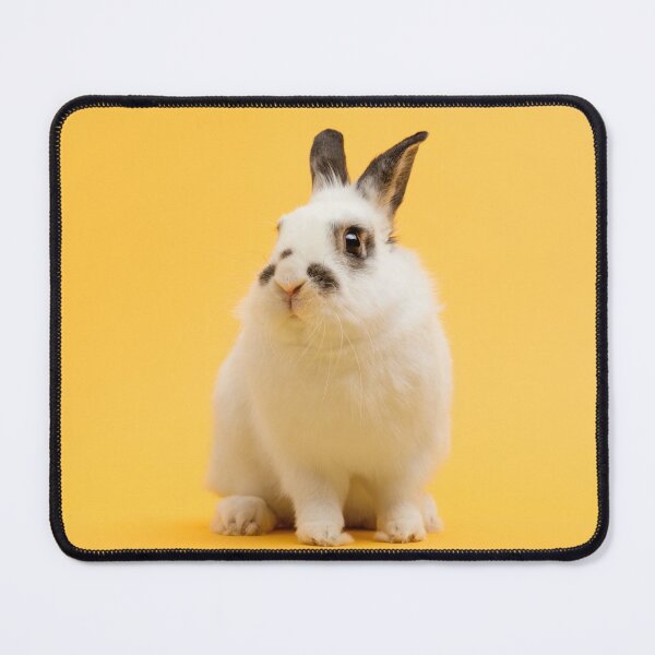 Item preview, Rabbit designed and sold by KNBS.
