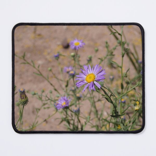 Item preview, Desert Flowers designed and sold by Bloom-N-Blossom.