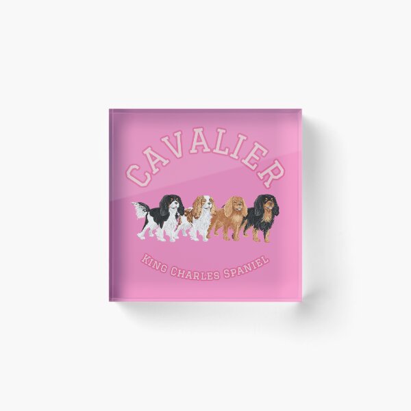 Item preview, Cavalier King Charles Spaniel School designed and sold by barksandsqueaks.
