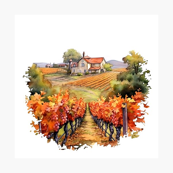 Item preview, Charming Autumn Vineyard Clipart, Harvest Season, Fall Foliage, Grape Harvest, Vineyard Charm, Autumnal Delight, Wine Country Beauty designed and sold by CoolorPainting.