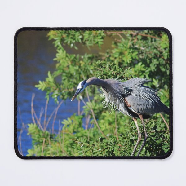 Item preview, Nothing Personal designed and sold by Michiale.