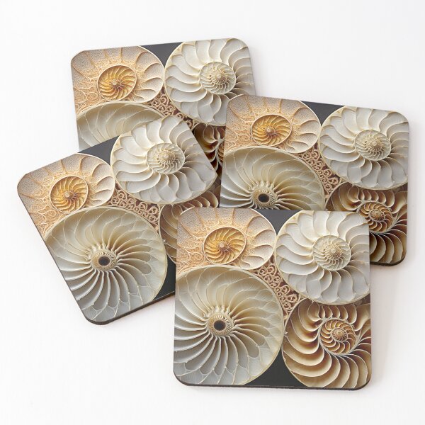 Item preview, Golden Ratio Based Shells with a Few Flurishes designed and sold by shakespeare1212.