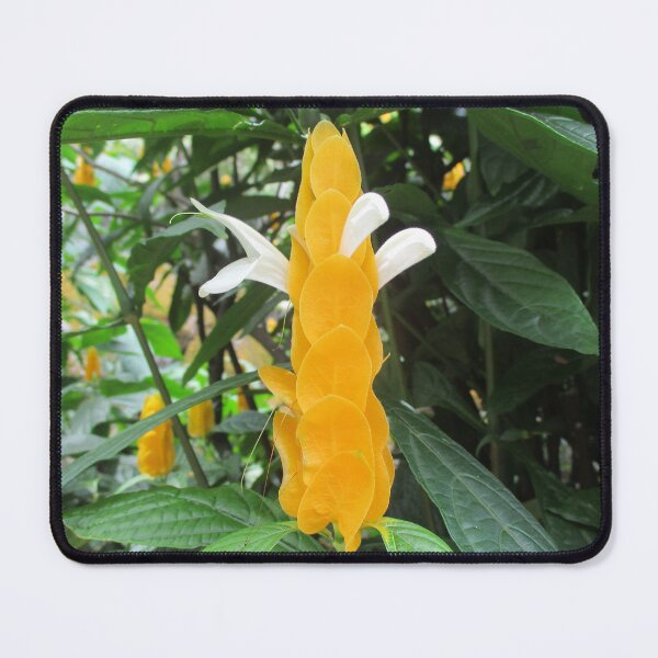 Item preview, Beautiful Plants of Hawaii designed and sold by LifExtroardinar.
