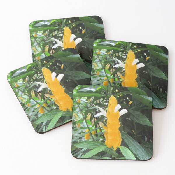 Item preview, Beautiful Plants of Hawaii designed and sold by LifExtroardinar.