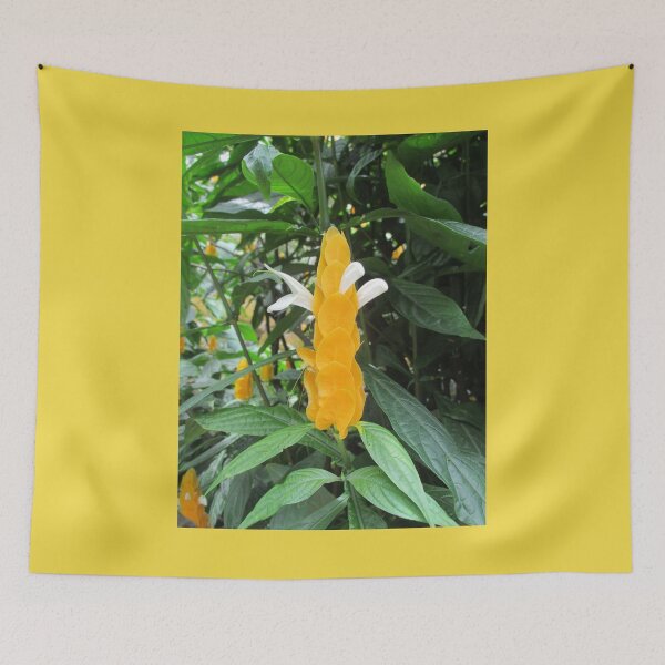 Item preview, Beautiful Plants of Hawaii designed and sold by LifExtroardinar.