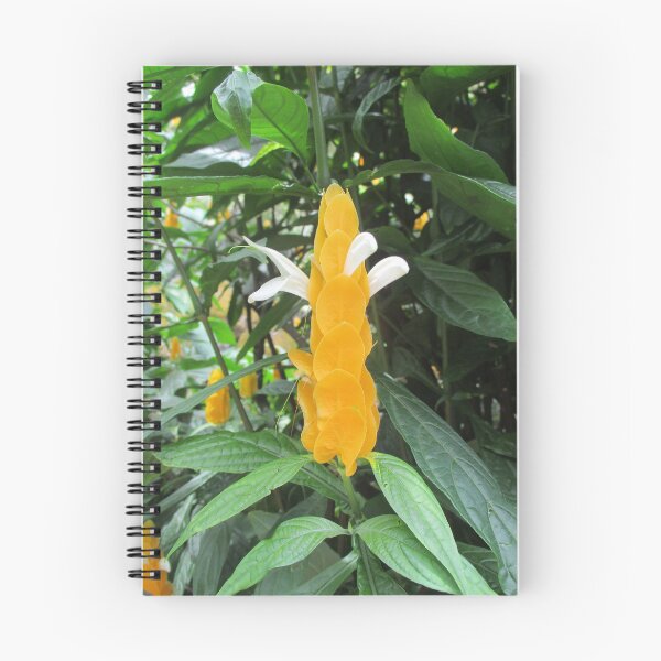 Item preview, Beautiful Plants of Hawaii designed and sold by LifExtroardinar.