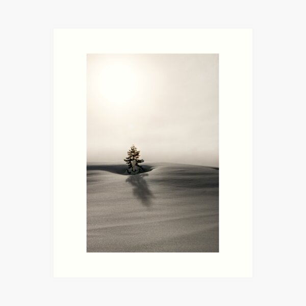 White Nature Art Print