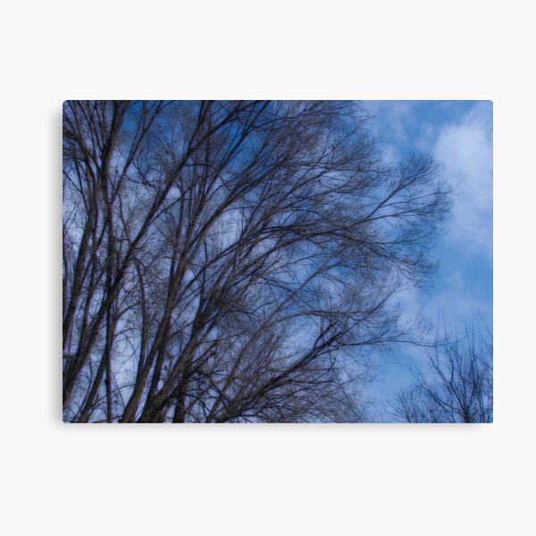 Cool blue Canvas Print