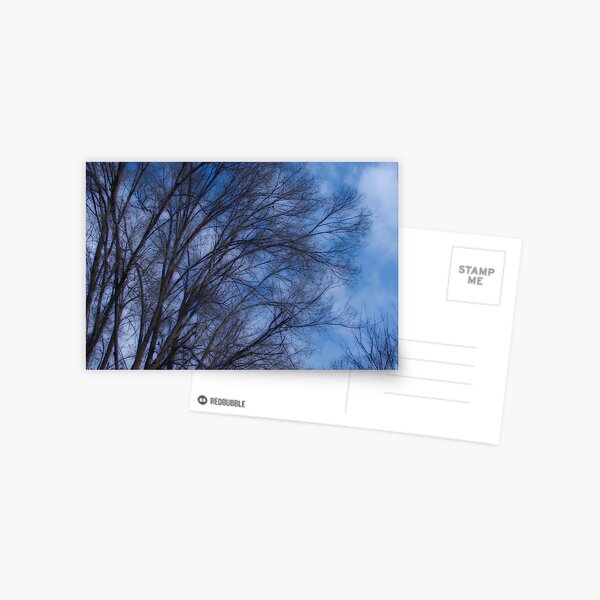 Cool blue Postcard