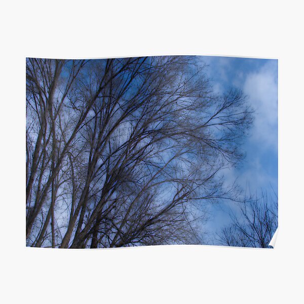 Cool blue Poster