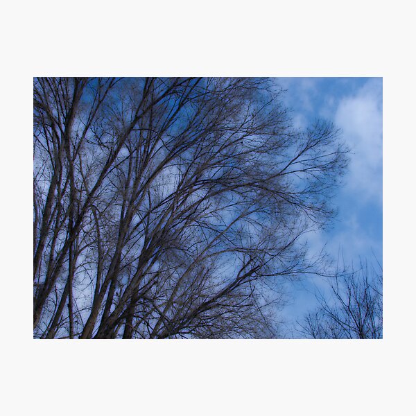 Cool blue Photographic Print