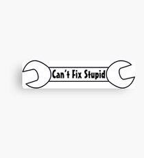 Can't Fix Stupid Canvas Print