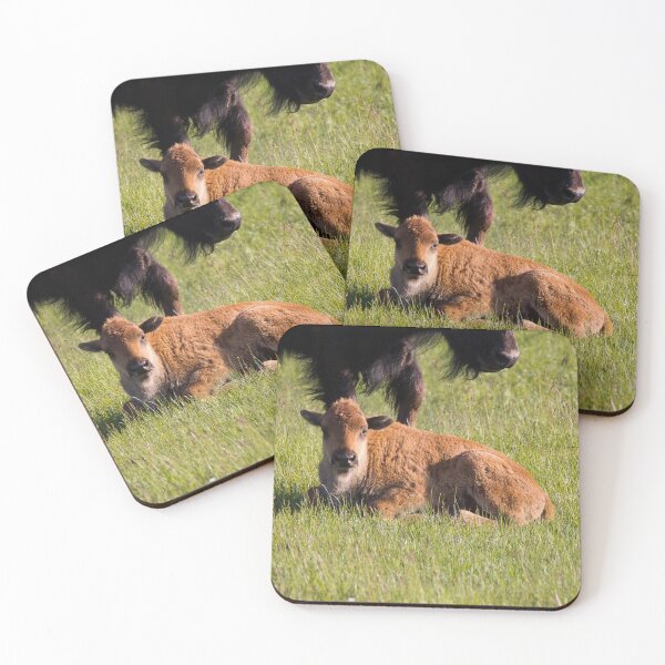 Item preview, Newborn Bison Calf in Yellowstone National Park designed and sold by Gilby-Designs.