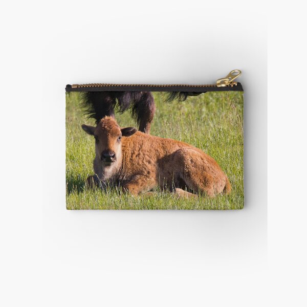 Item preview, Newborn Bison Calf in Yellowstone National Park designed and sold by Gilby-Designs.