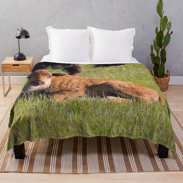 Item preview, Newborn Bison Calf in Yellowstone National Park designed and sold by Gilby-Designs.