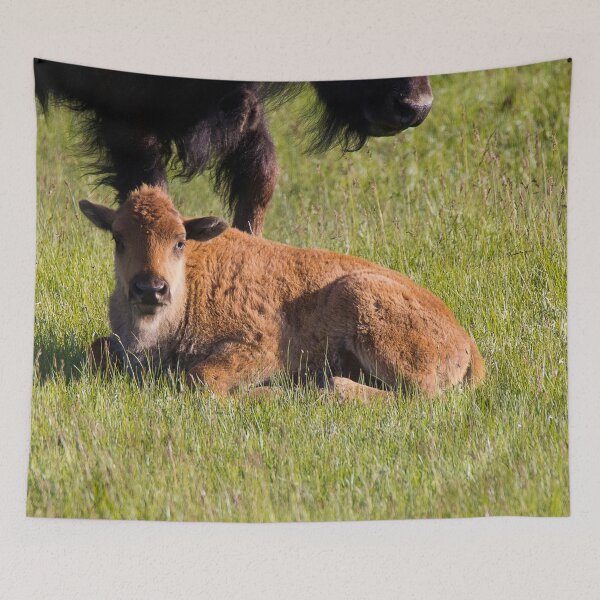 Item preview, Newborn Bison Calf in Yellowstone National Park designed and sold by Gilby-Designs.