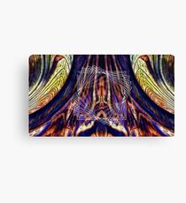 I don't know, you figure it out. Canvas Print