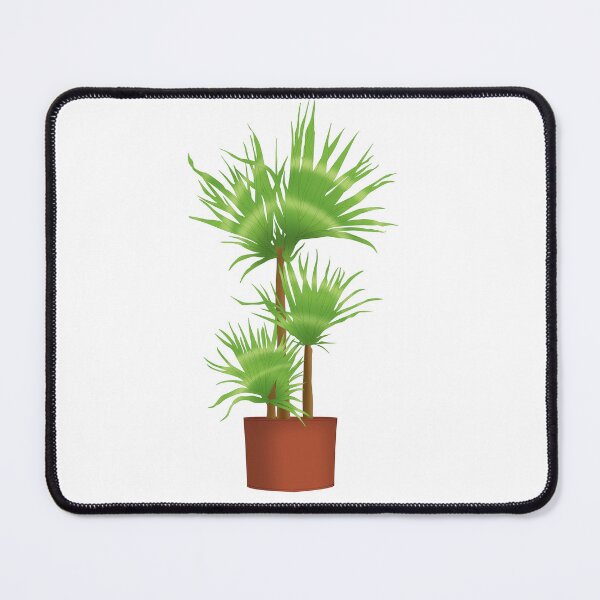 Item preview, Dracaena Marginata designed and sold by sokileri999.