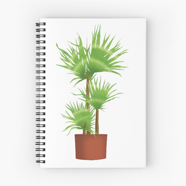 Item preview, Dracaena Marginata designed and sold by sokileri999.