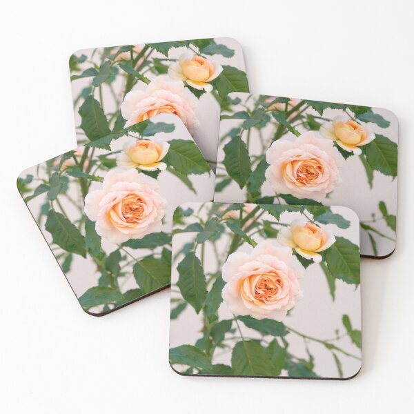 Item preview, Fragrant Rose Blooms in Pale Pinkish Orange designed and sold by Georgia Mizuleva.