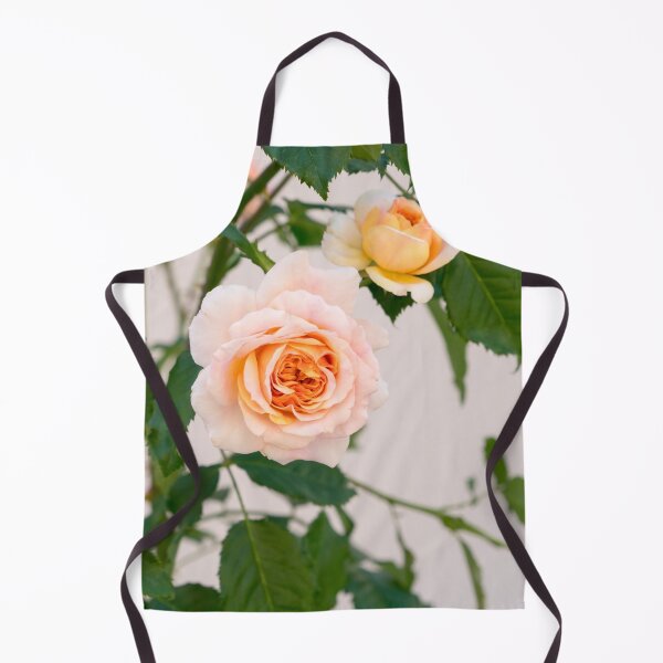Item preview, Fragrant Rose Blooms in Pale Pinkish Orange designed and sold by Georgia Mizuleva.