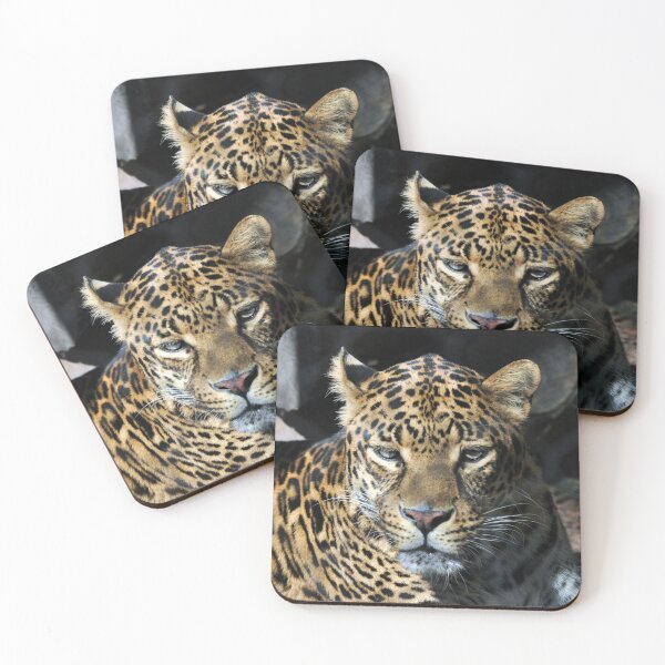 Item preview, Close-up Jaguar designed and sold by Savannah Gibbs.