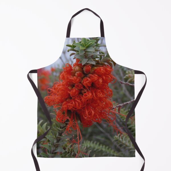 Item preview, Gravel Bottlebrush Beaufortia decussata Australia designed and sold by Schoensl.