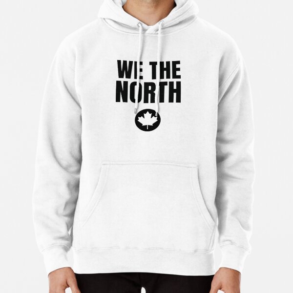 Raptors hoodie best sale we the north