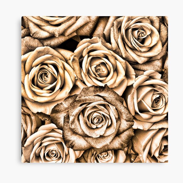 Roses Monotone products Canvas Print