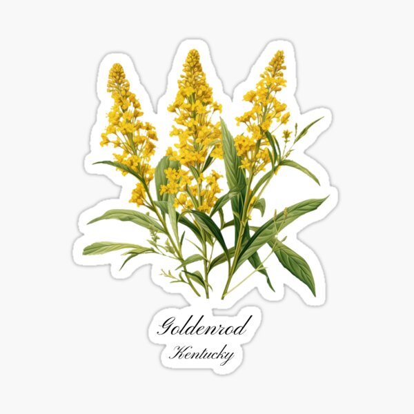 Kentucky Goldenrod T-Shirts for Sale | Redbubble