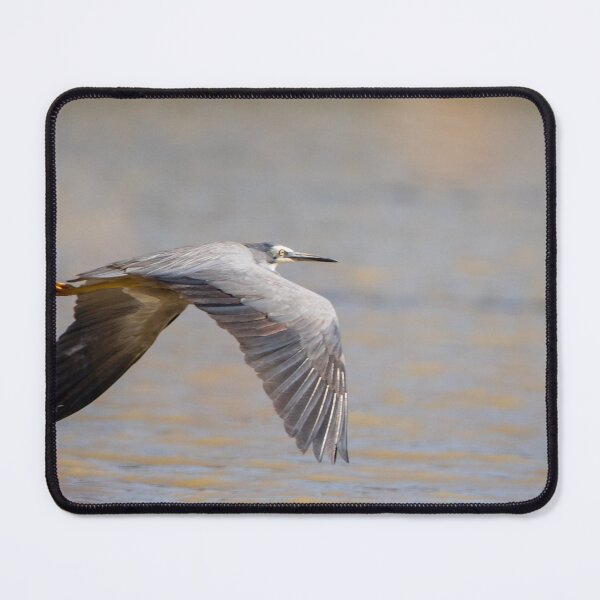 Item preview, Brolga in flight designed and sold by johkar-photos.
