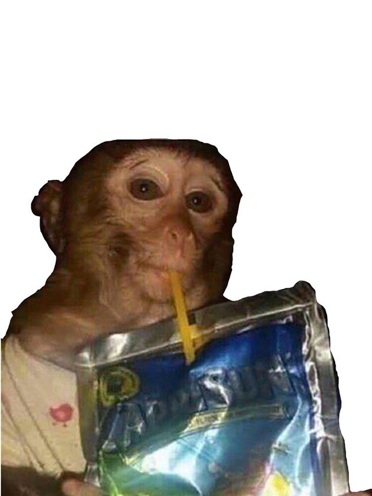 Monkey sipping caprisun meme Photographic Print for Sale by janenovacane