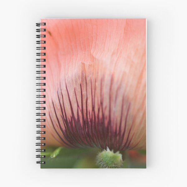 Item preview, Upwards, Always designed and sold by Alexandra Lavizzari.