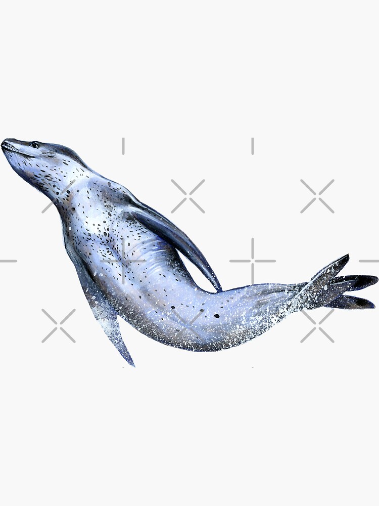 Leopard Seal by antarcticpip